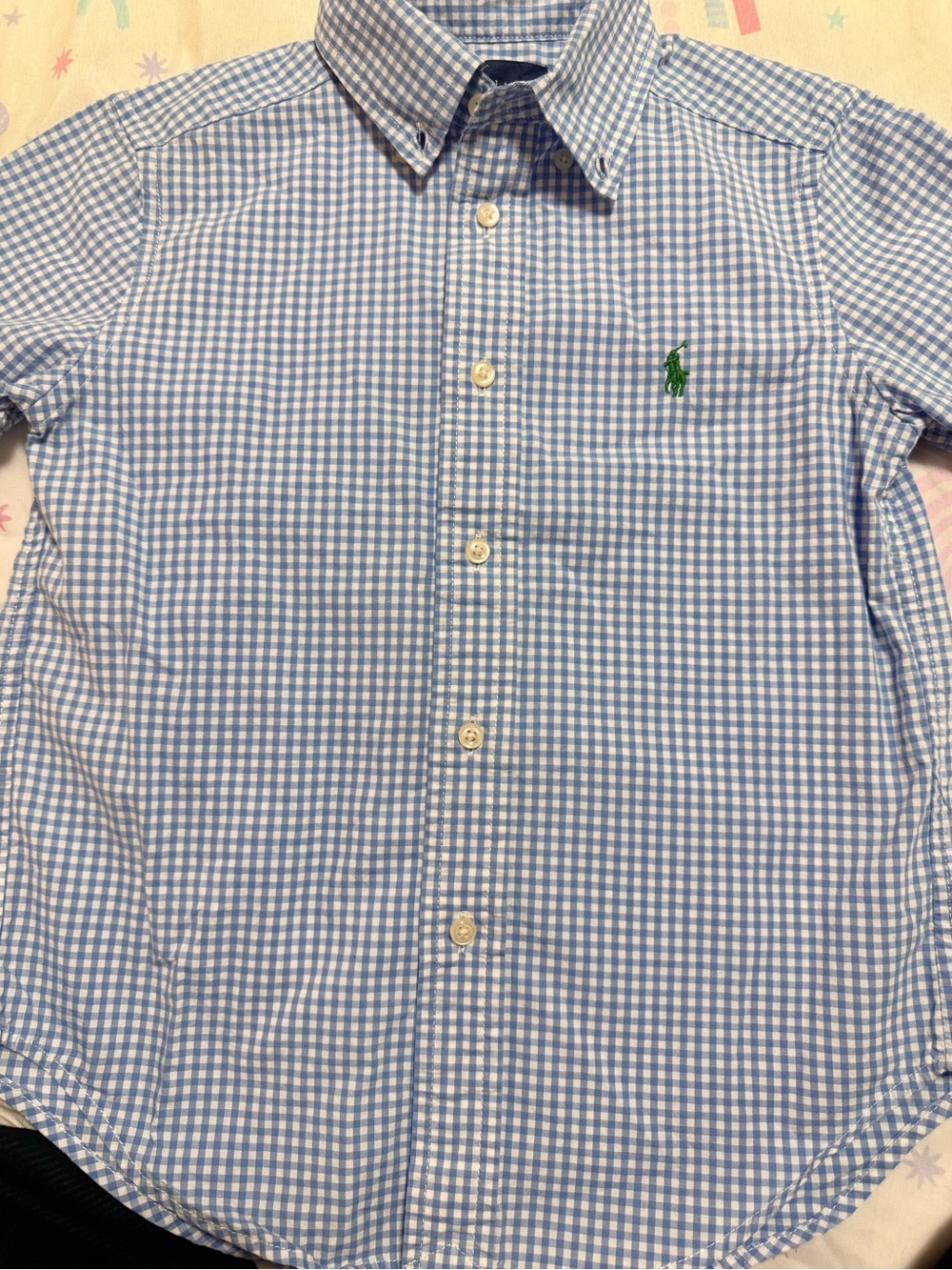 Ralph Lauren Light Blue and White Gingham Button-Down Shirt with Green Logo